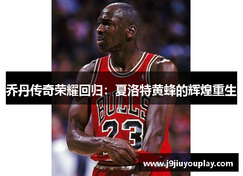 乔丹传奇荣耀回归：夏洛特黄蜂的辉煌重生